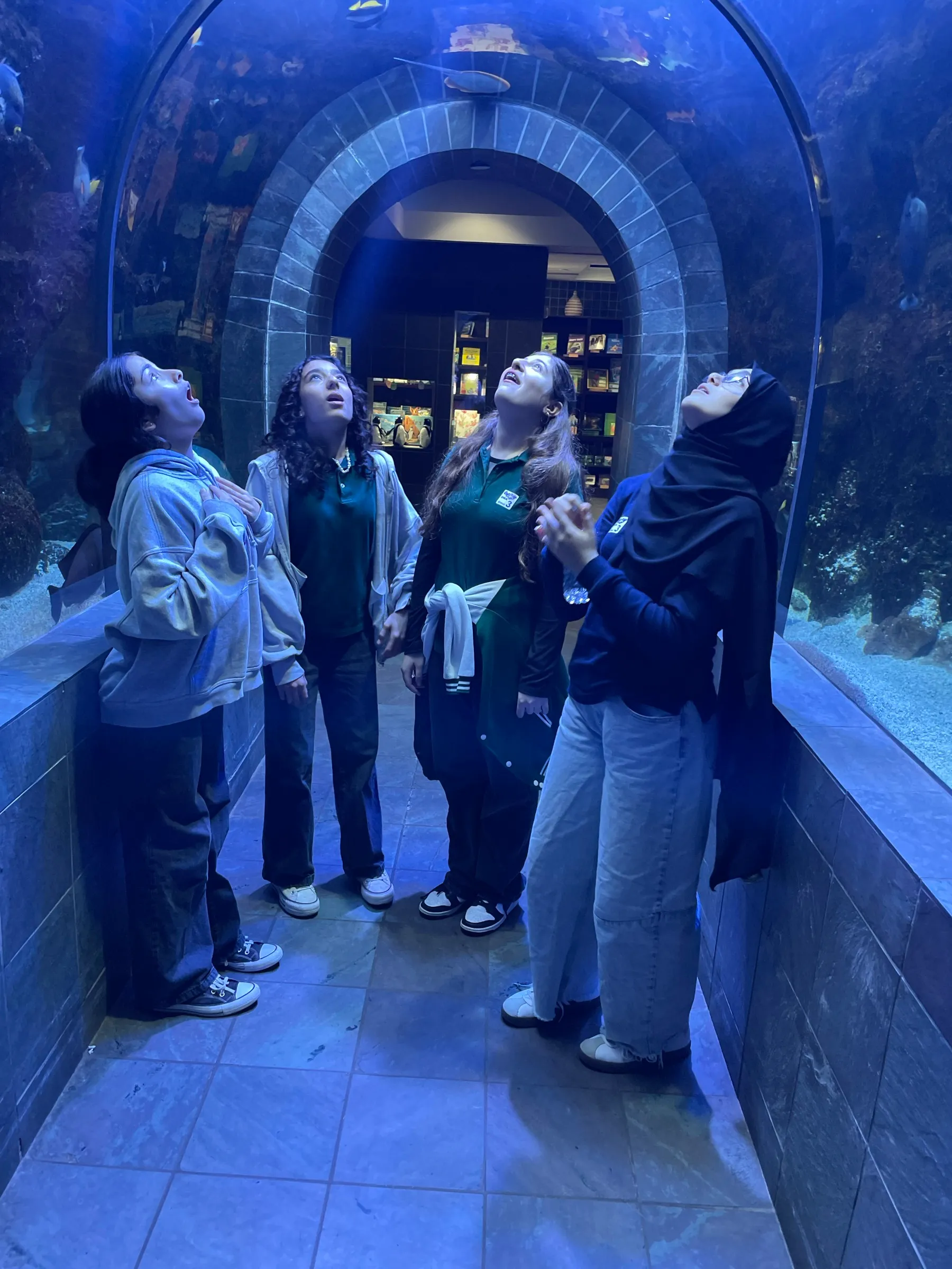 Students looking up inside the aquarium tunnel